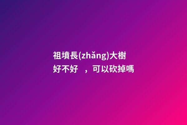 祖墳長(zhǎng)大樹好不好，可以砍掉嗎